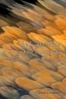 The Butterflies and the
                                          Burnings, Anne Blonstein