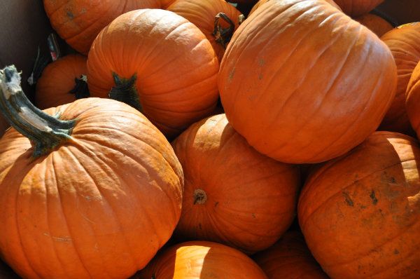 DSC_0151_zps321e6507