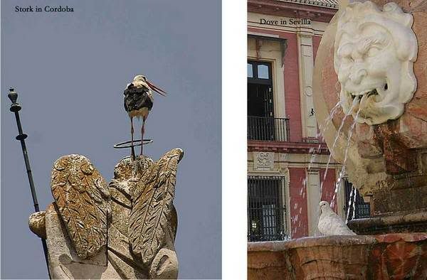 Image hosted by Photobucket.com