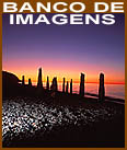 Banco de Imagens / Image Bank
