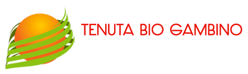 logotenutagambino