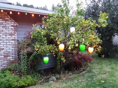 This image has an empty alt attribute; its file name is 20201211_164842web.jpg