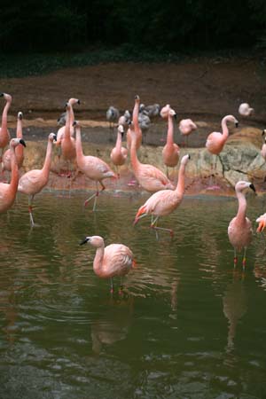 img_3092_web img_3092_web