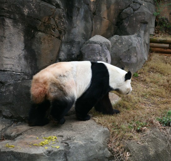 img_3093_web img_3093_web