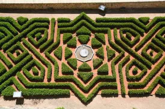 IMG_9509 Roof Top Gardens