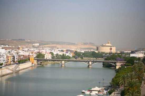 IMG_9649 From the Gold Tower