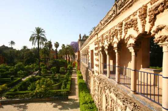 IMG_9869 Alternative View