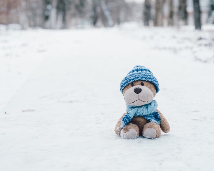 stuffed toy on snow