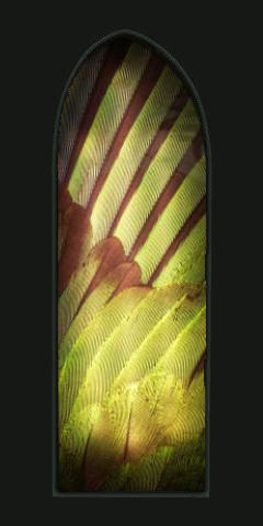 Papa Hou [3 - Kakariki Wing]