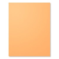 Peekaboo Peach 8-1/2" X 11" Cardstock Peekaboo Peach 8-1/2" X 11" Cardstock