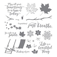 Colorful Seasons Photopolymer Stamp Set Colorful Seasons Photopolymer Stamp Set