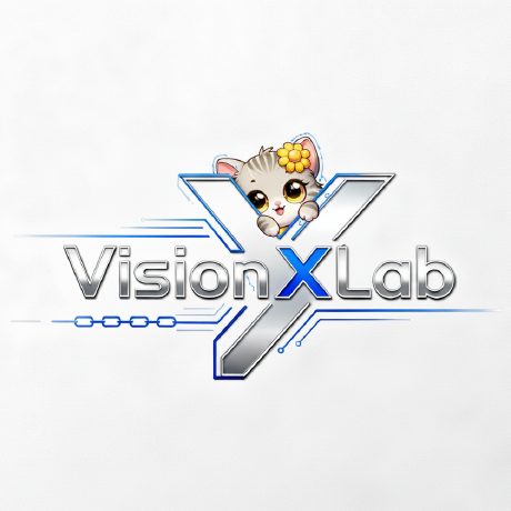 @VisionXLab
