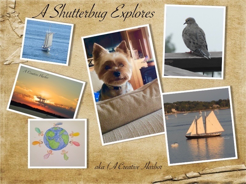 A SHUTTERBUG EXPLORES aka (A Creative Harbor)