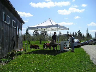 Meeting Place Organic Farm Reception Meeting Place Organic Farm Reception