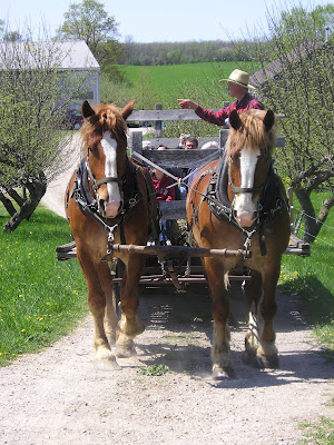 Meeting Place Organic Farm Hayride Meeting Place Organic Farm Hayride
