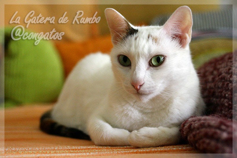 ¡Feliz cumpleaños, Noa! Noa