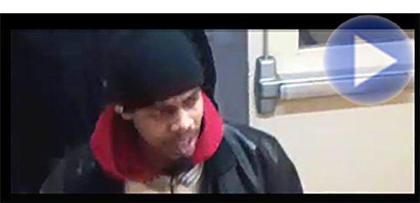 insert alt text here