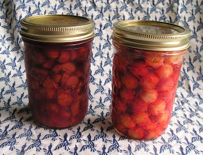A Jar of Cherries From This Year and Last Year A Jar of Cherries From This Year and Last Year