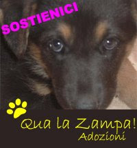 adozioni amici a 4 zampe