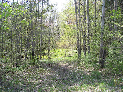 Meeting Place Organic Farm Woodlot Meeting Place Organic Farm Woodlot