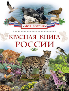 Волшебный фонарик Красная книга