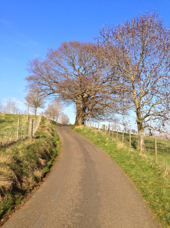 northumberland hamlet northumberland hamlet