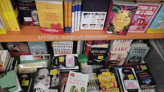 non ti sento, sto leggendo: il mio mondo di letture e recensioni https://nontisentostoleggendo.blogspot.com