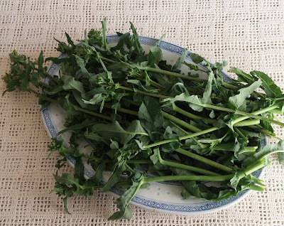Dietrichs-Wild-Broccoli-Raab Dietrichs-Wild-Broccoli-Raab