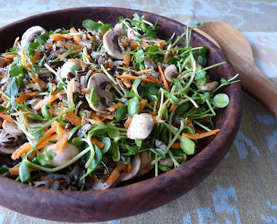 Sprout Salad with Wild Rice Carrot and Mushrooms Sprout Salad with Wild Rice Carrot and Mushrooms