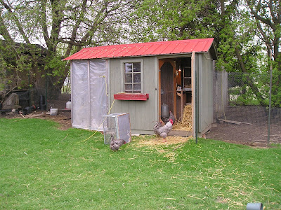 Stone Meadow Second Chicken Hut Stone Meadow Second Chicken Hut