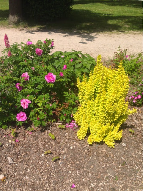 The Brocante and the Park in France The Brocante and the Park in France