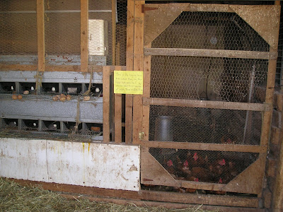 Meeting Place Organic Farm Chickens Meeting Place Organic Farm Chickens