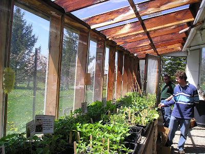 Meeting Place Organic Farm Plants for Sale Meeting Place Organic Farm Plants for Sale