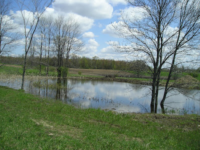 Meeting Place Organic Farm Pond Meeting Place Organic Farm Pond