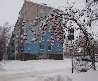 Волшебный фонарик Полысаево. Декабрь 2019 года