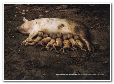 If you don’t help feed them, who will?