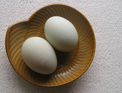 Indian Runner Duck Eggs Indian Runner Duck Eggs