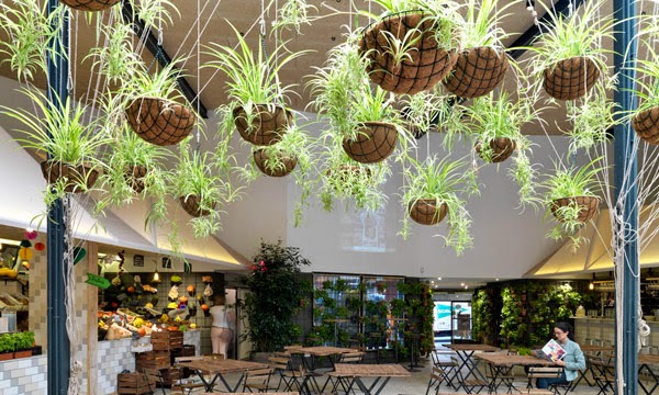 decoracion biosaludable