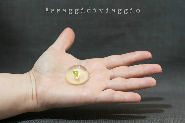 Raindrop cake Raindrop cake