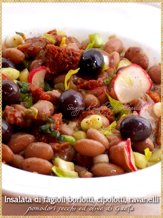 Insalata di fagioli borlotti, cipolotti, ravanelli, pomodori secchi ed olive di Gaeta Insalata di fagioli borlotti, cipolotti, ravanelli, pomodori secchi ed olive di Gaeta