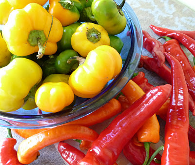 Doe Hill Peppers and Jimmy Nardello Peppers