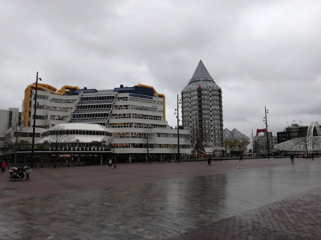 Rotterdam-biblioteca-cosa-vedere Rotterdam-zona-blaak