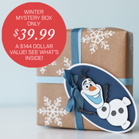 Cricut Winter Mystery Box
