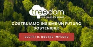 foresta borgione1223 foresta borgione1223