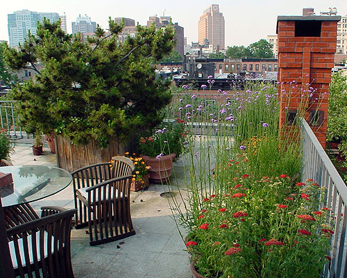 pacificroof001_400 pacificroof001_400