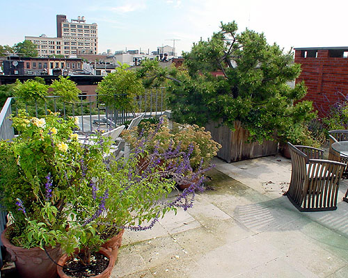 pacificroof005_400 pacificroof005_400