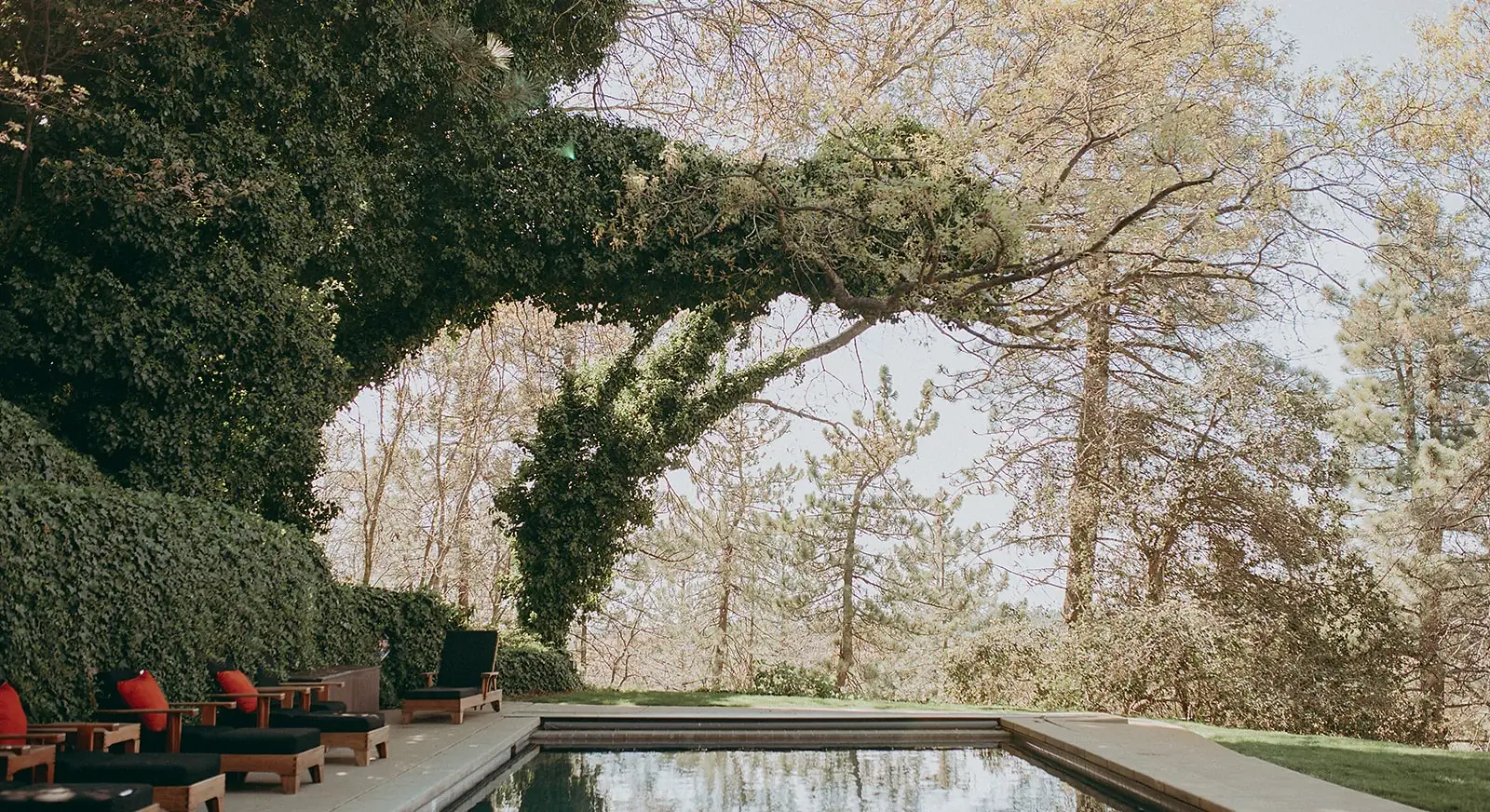 Romantic outdoor reception at Sacred Mountain in Julian, California, with twinkling string lights, mountain views, and refined catering by Chef Joann for an elevated countryside event.