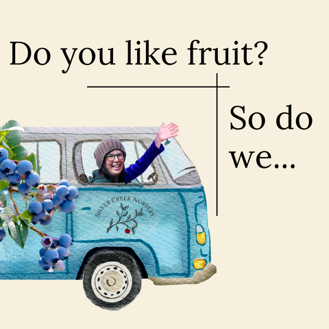 grow fruit in canada