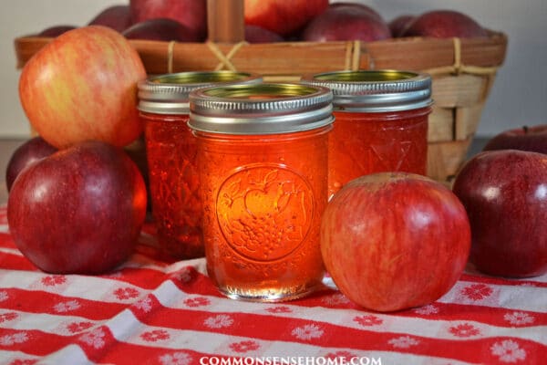 homemade apple jelly