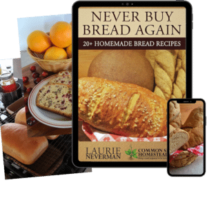 Never Buy Bread Again Digital ebook